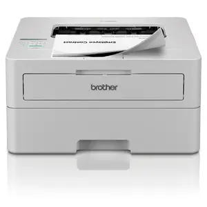 Принтер Brother HL-L2865DW Лазерный Белый