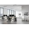 Neomounts FPMA-W300BLACK настенное крепление 32–55" Photo 13
