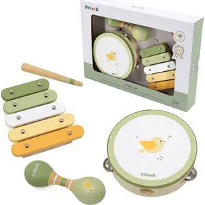 Musical Instrument Set by viga toys – children's green percussion and rhythm kit