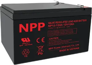 Sealed Lead-Acid Battery BrightSign 12 V 12 Ah T2 (F2) Pb AGM for backup and UPS