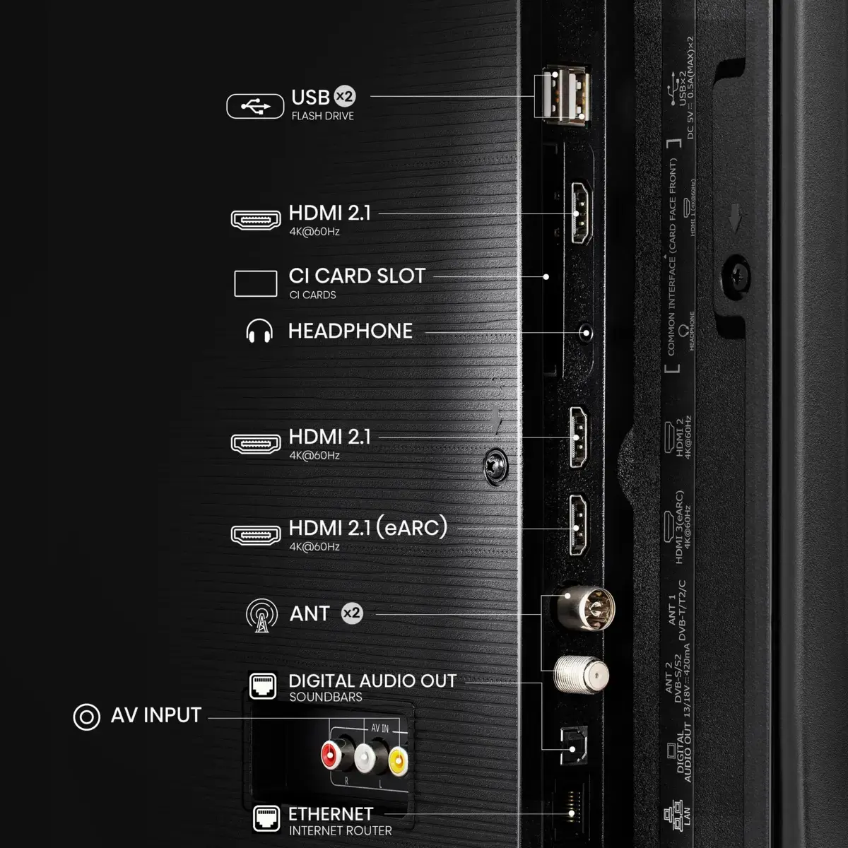 Hisense 50E77Q 20015945 Photo 25