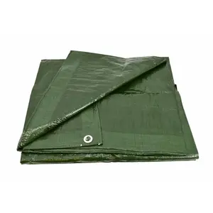 Tarpaulin AWTools AW68033, 1.08 kg, lightweight protective cover