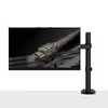 Lindy Single Adjustable Display Mount Photo 2
