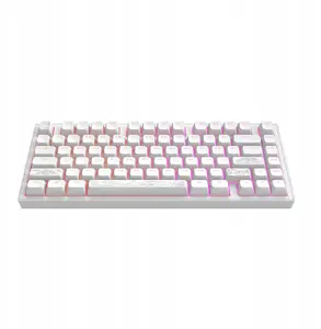 Mechanical keyboard Dark Project ALU81A G3MS Moonstone Switch RU layout 81-key aluminum case