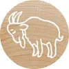 Круглая печать Colop 165225 Photo 6
