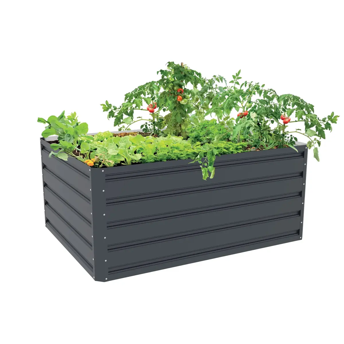 Raised garden bed G21 Daisy metal 120×90×52 cm Photo 4
