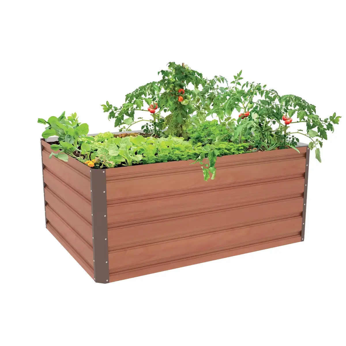 Metal raised bed G21 Daisy 63900233 Photo 2