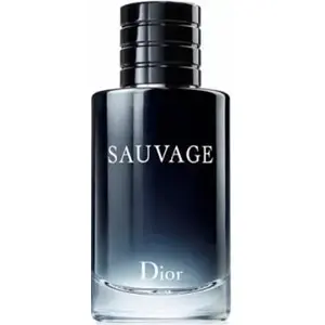 Eau de Toilette DIOR Sauvage 100 ml — men's fragrance, 100 ml spray