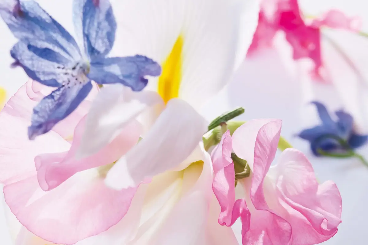 Dior Miss 2021 Eau De Parfum Photo 4
