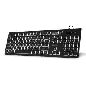 Keyboard Evolveo K1010 white backlight — wired keyboard with white backlight