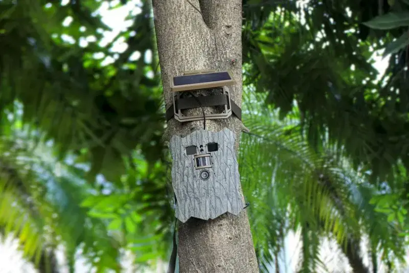 Surveillance Camera Stealth Gear Owl Solar 4K Photo 4