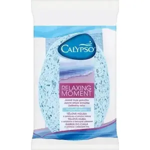 Cleaning sponge Spontex Calypso Relaxing Moment (model 31280592) — household scrub sponge