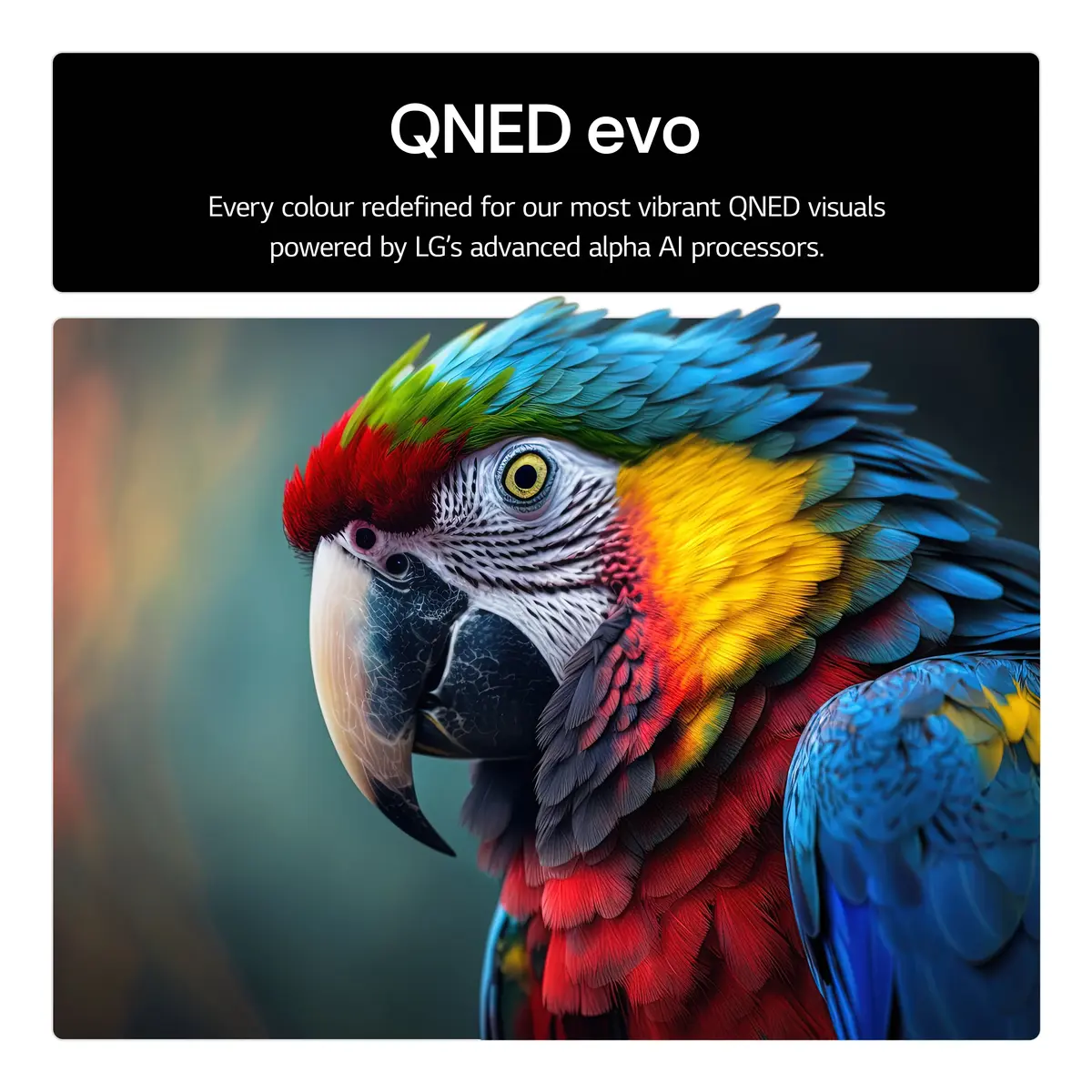 LG 55QNED85A3C телевизор 55" QNED evo Smart TV 4K WebOS Photo 18