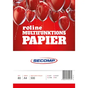 Printing paper ROLINE 16061125 A4 500 sheets White