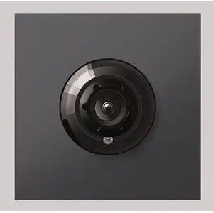 Bus camera Siedle 130BCM653-03AGf Vario anthracite grey — door intercom camera unit