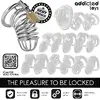 Клетка ADDICTED TOYS LOCKED Iron Cell, размер M Photo 7