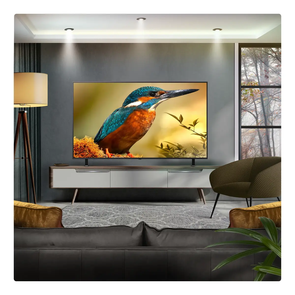 LG 65QNED85A6C.AEK TV 65QNED85A3C Photo 8