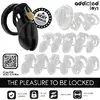 Устройство для целомудрия ADDICTED TOYS LOCKED D-242955 Photo 7