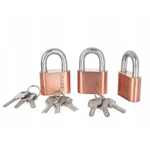 Padlock set GEKO 50 mm nickel-plated one-key system, 3 locks (10 pieces)