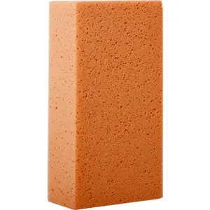 Sponge Proline 61666 — cleaning sponge, 1 pc
