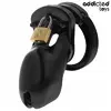 Клетка для пениса ADDICTED TOYS LOCKED FORBIDDEN VAULT 10 см Photo 2