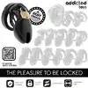 Клетка для пениса ADDICTED TOYS LOCKED FORBIDDEN VAULT 10 см Photo 7
