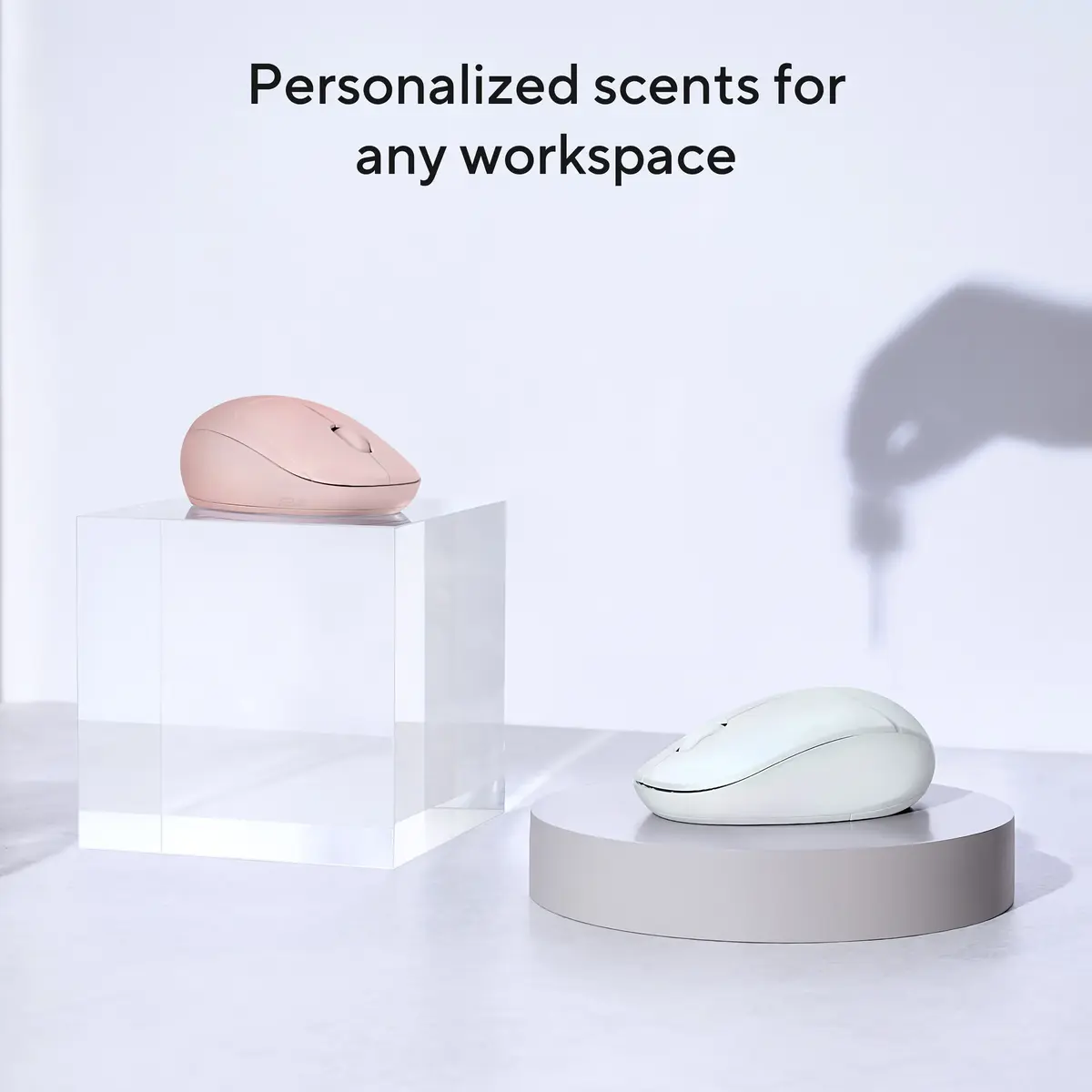 Pele ASUS Fragrance MD101 Photo 8