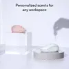 Pele ASUS Fragrance MD101 Photo 8