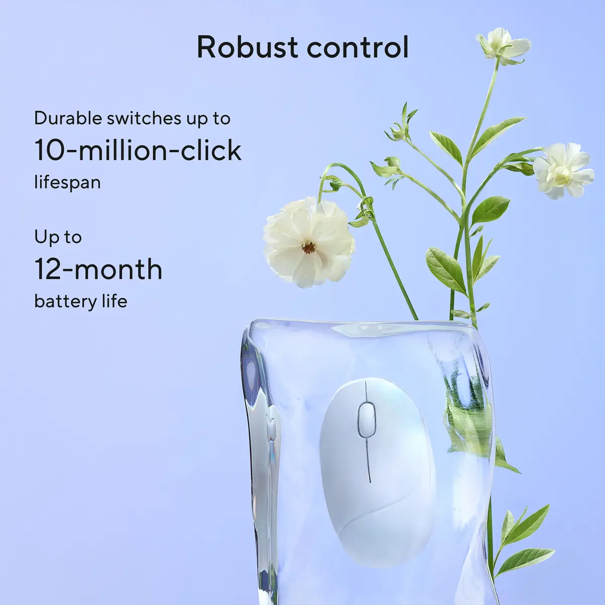 Pele ASUS Fragrance MD101 Photo 12