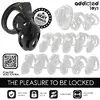 Клетка для члена ADDICTED TOYS LOCKED D-242964 Photo 7