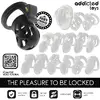 Устройство для целомудрия ADDICTED TOYS LOCKED D-242966 Photo 7