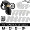 Клетка для целомудрия ADDICTED TOYS LOCKED D-242967 Photo 7