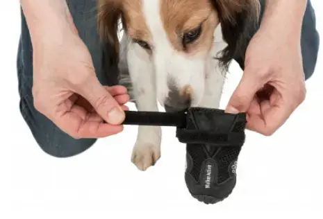 Dog Harness Trixie TRIXIE 19465 L Black Photo 10