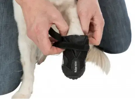 Dog Harness Trixie TRIXIE 19465 L Black Photo 13