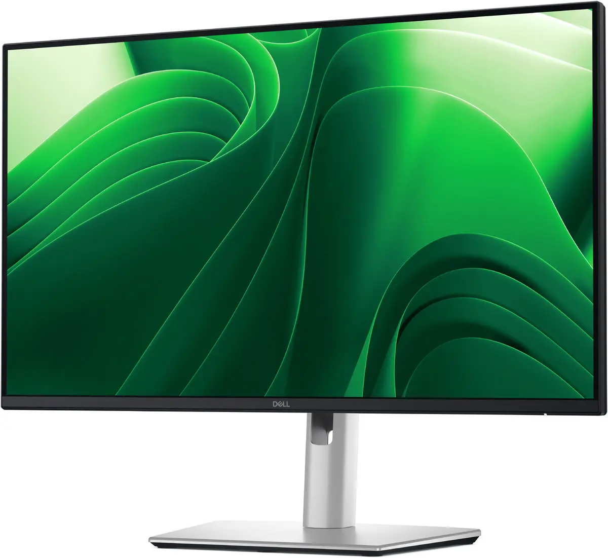 Monitors DELL Pro Plus P2425D Photo 8