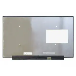 17.3" FHD 360 Гц LCD матрица для замены BOE LC304363