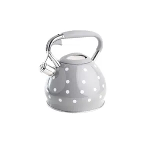 Электрический чайник Berretti Cornelia 3,0 Л 2200Вт Серый
