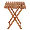 Деревянный садовый набор Springos BS001LB Photo 11