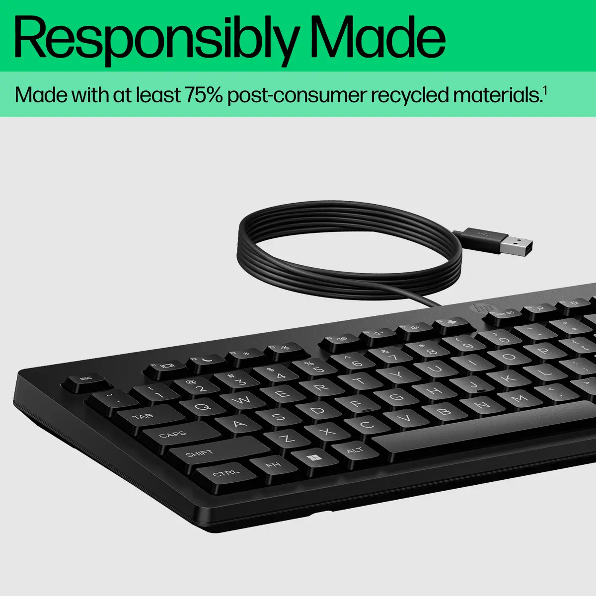 HP 125 Wired Keyboard Photo 4
