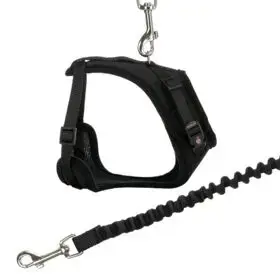 Dog/Cat Lead Trixie 41890 Photo 2