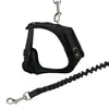 Dog/Cat Lead Trixie 41890 Photo 2