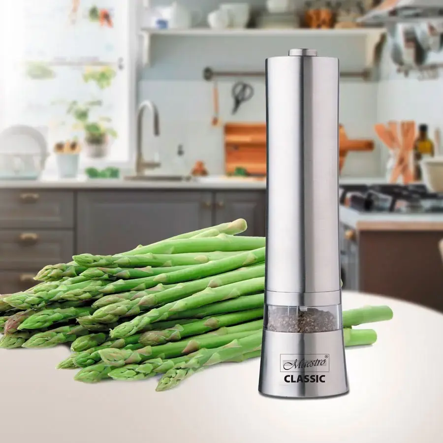 Electric spice grinder Maestro MR-1722 Photo 2