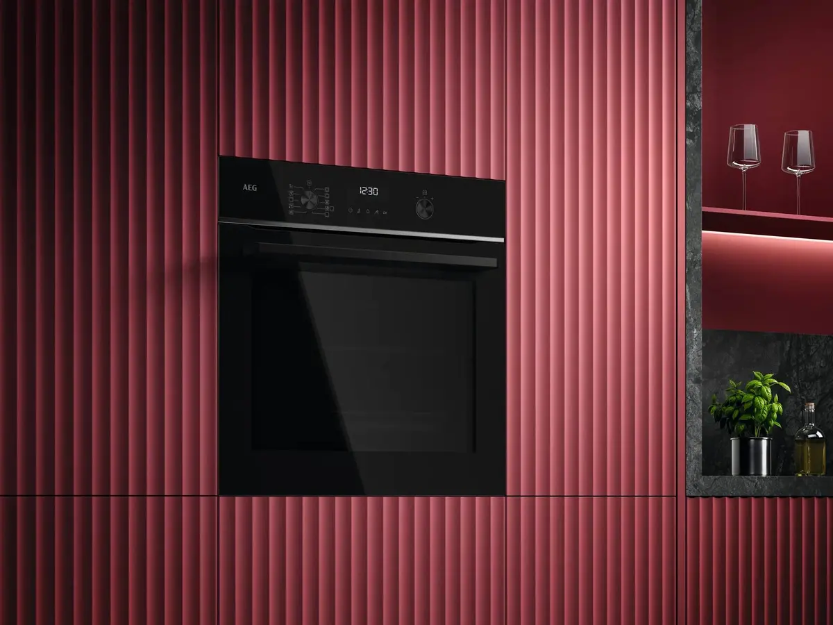 Электрический духовой шкаф AEG Series 5000 TU5PB431SB Photo 9