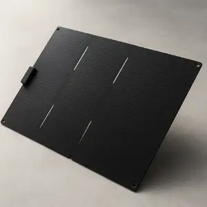 EcoFlow EFSOLAR60-TYPE-C solar panel 60W Monocrystalline silicon IP68