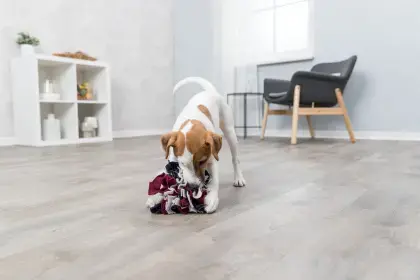 Игрушка для собак Trixie Sniffing Ball 111890 Photo 3