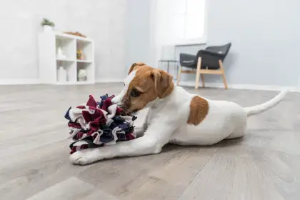 Игрушка для собак Trixie Sniffing Ball 111890 Photo 4
