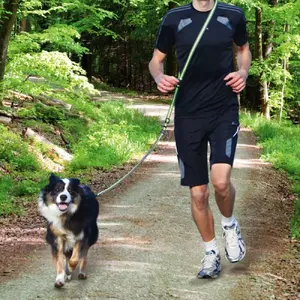 Training lead Trixie 12763 1.8 m Green Grey for Dog