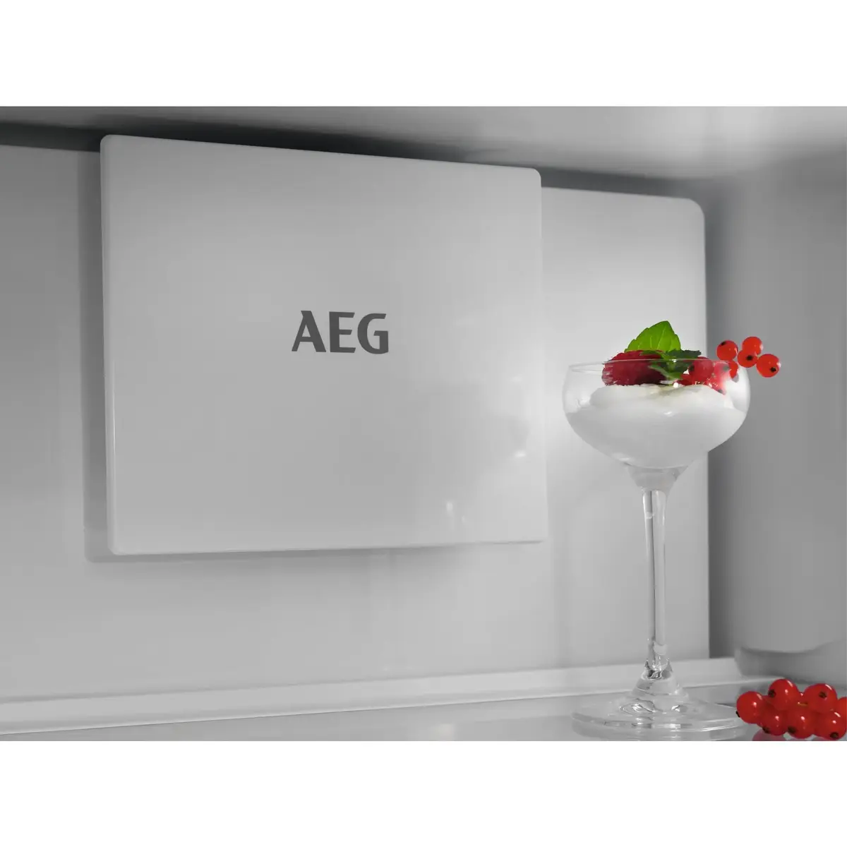 Встраиваемый холодильник AEG Series 6000 TC6MS18FDS Photo 6