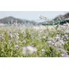 Panasonic Lumix S 24-60mm f/2.8 lens Photo 5