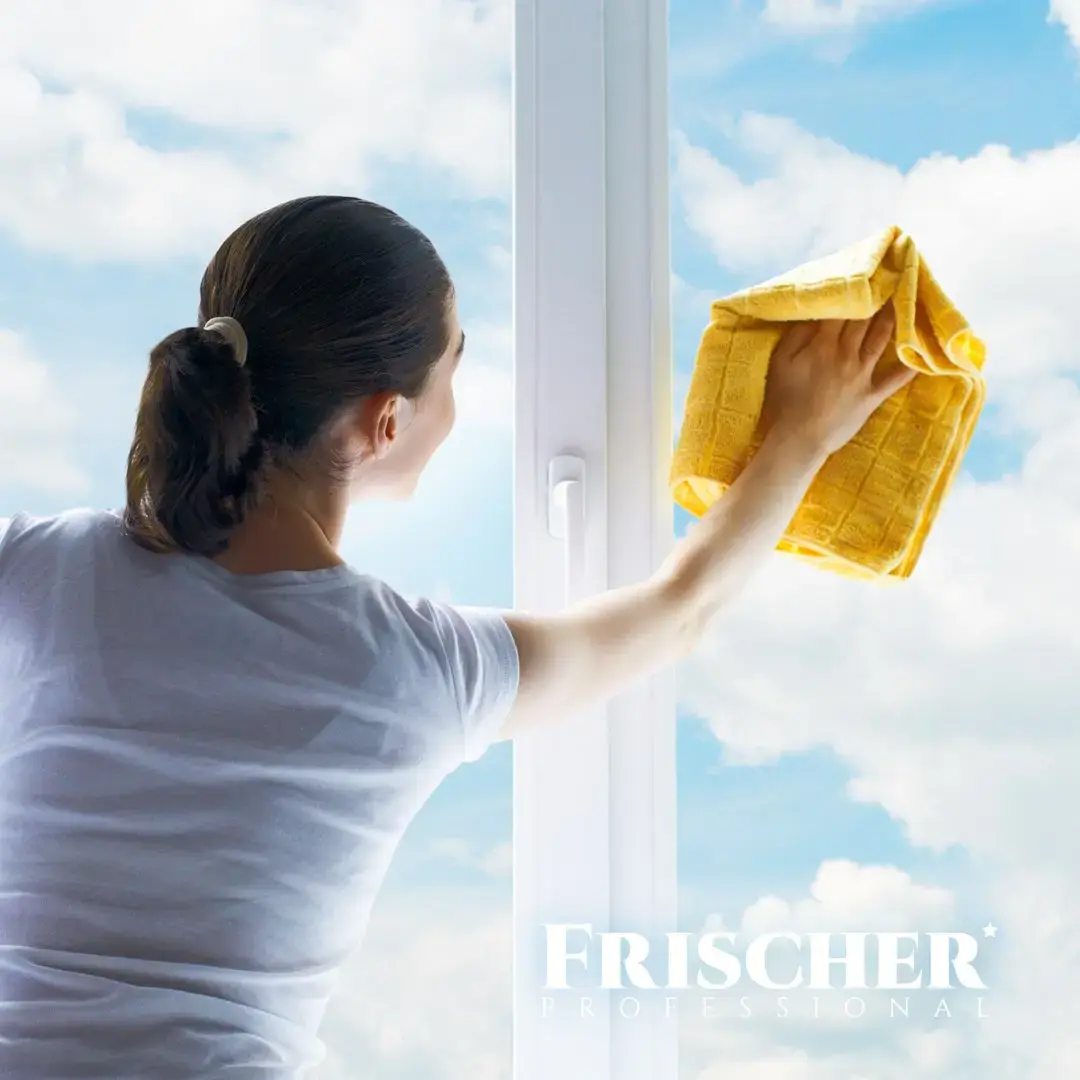 FRISCHER FR00233_1000 glass cleaner 1 L Photo 3